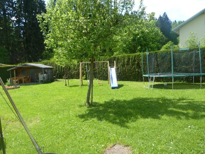 Holzmaier